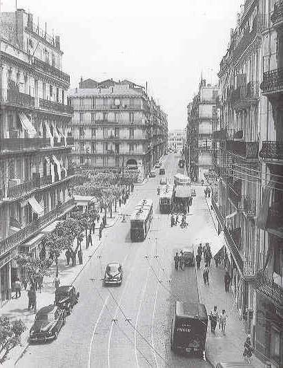 Alger avenue de la Marne