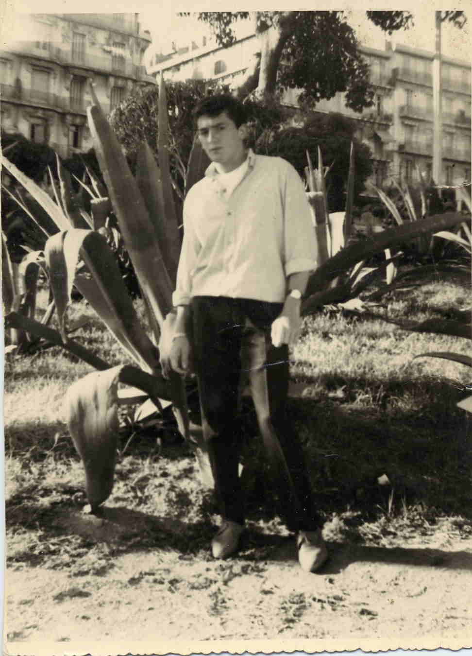 le forum en 1961 Alger 