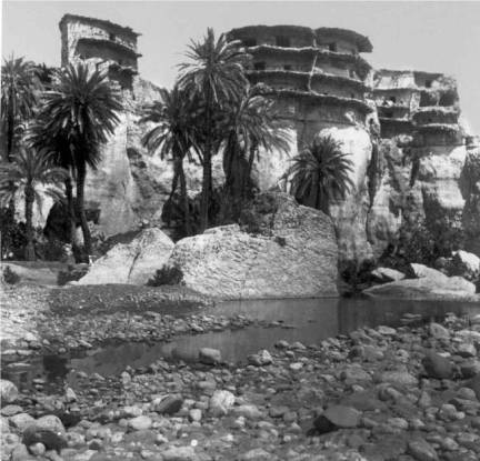 Biskra, l' Oasis et ses curieuses contructions de boue s�ch�e. 