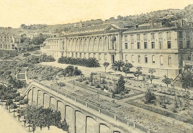 Les Falcult�s en 1910 