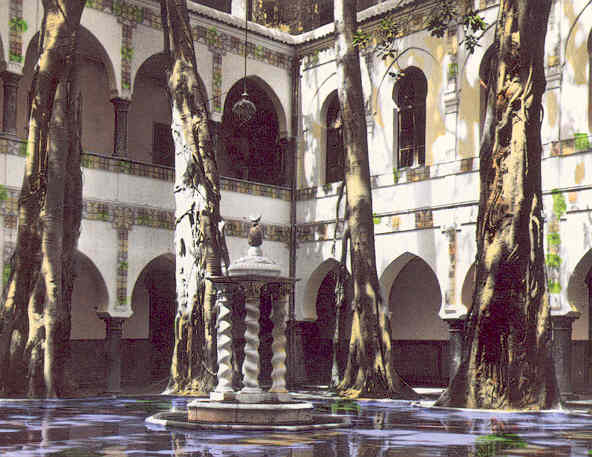 Le bardo Bassin dans la cour 