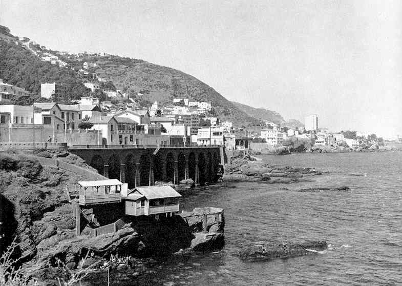 Le boulevard Pitolet vers l'olivier