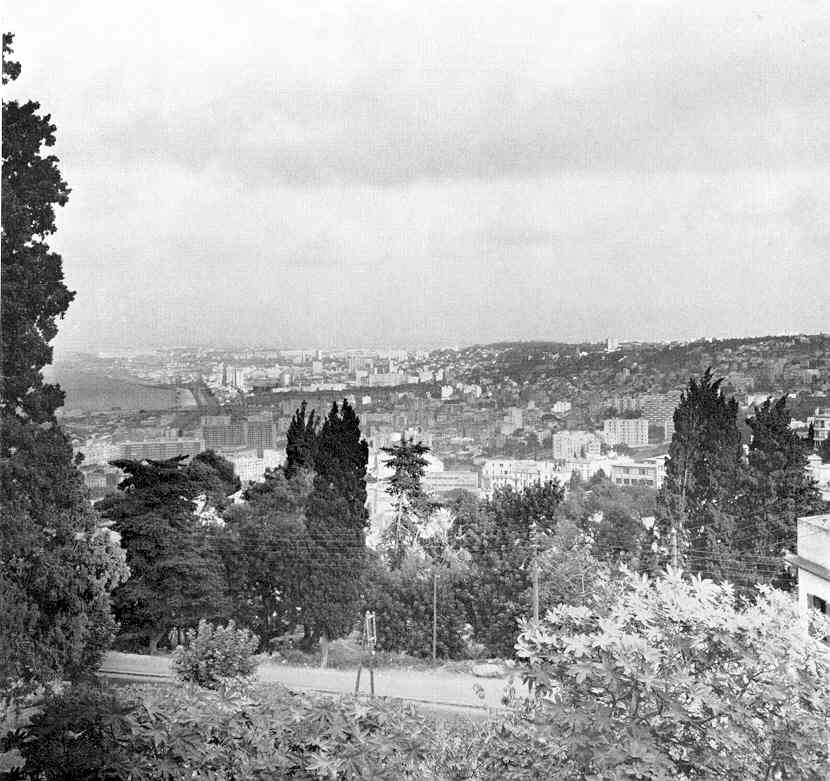 vue sur la ville d'Alger 