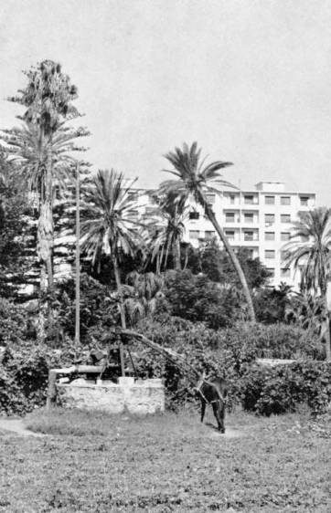 la campagne pr�historique  