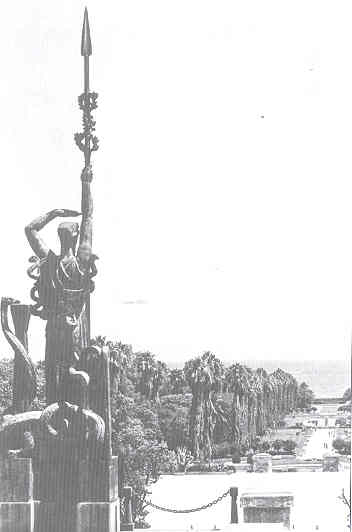 Alger Jardin d'Essai.  