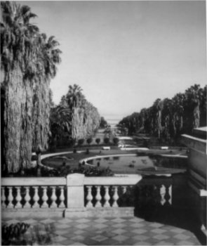 Alger jardin d'essais du Hamma. 