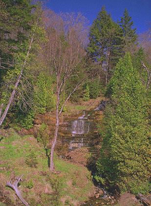 Alger jardin d'essais du Hamma. 