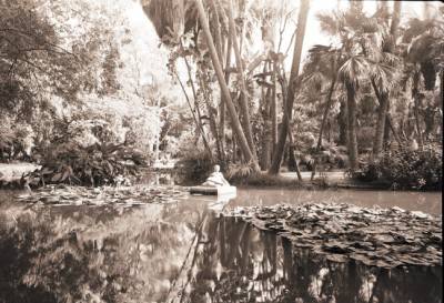 Alger jardin d'essais du Hamma. 
