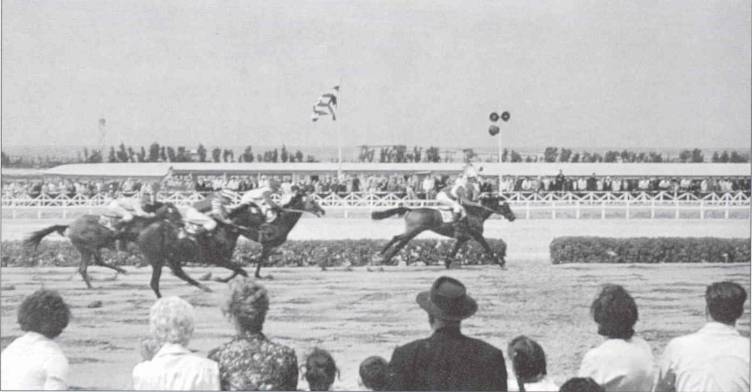 Alger, le champ de course du Caroubier.  