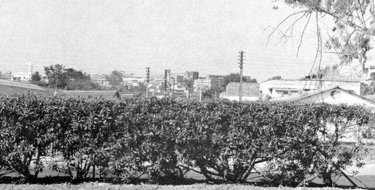 Grand Alger, vue vers Bel - Air. 