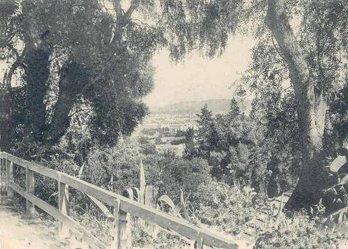 le chemin du T�l�mly en 1902 