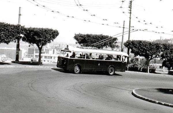 bus montant vers Notre Dame d' Afrique. 