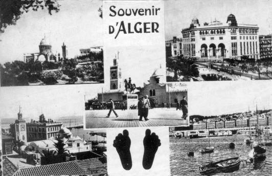 carte postale  Alger