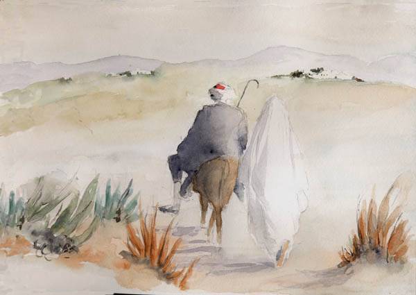 Alger �galit� des sexes 